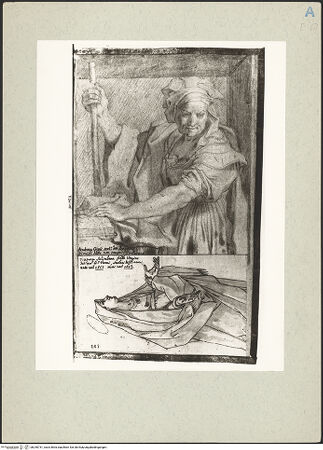 Vorderseite von bh240751_recto