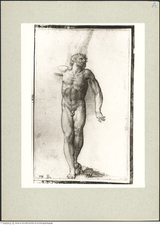 Vorderseite von bh240752_recto