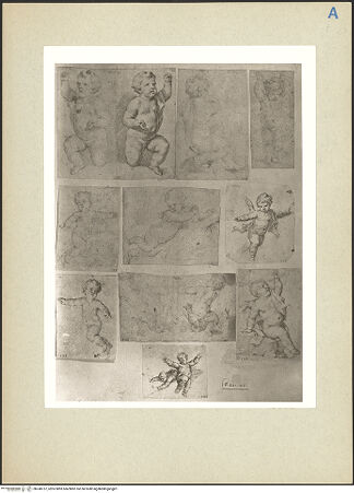 Vorderseite von bh240757_recto