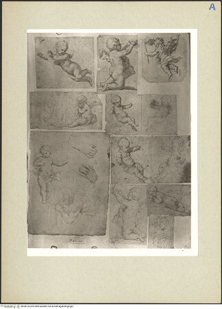 Vorderseite von bh240759_recto