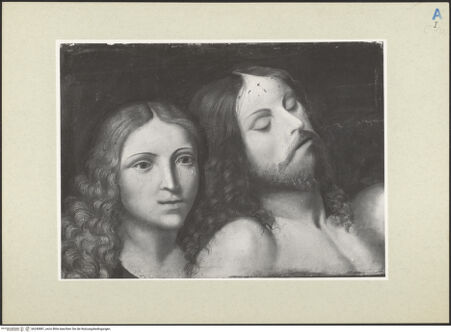 Vorderseite von bh240881_recto