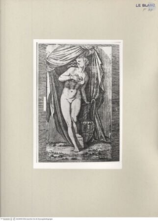 Vorderseite von  [http://creativecommons.org/publicdomain/mark/1.0/] Cleopatra - , bh240960. Foto.