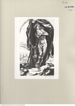 Vorderseite von  [http://creativecommons.org/publicdomain/mark/1.0/] Cleopatra - , bh240969. Foto.