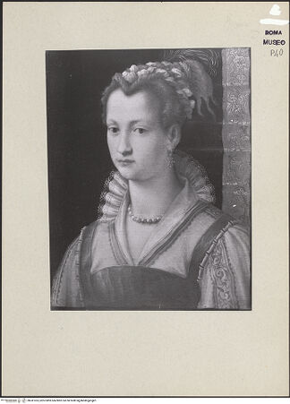 Vorderseite von bh241033_recto