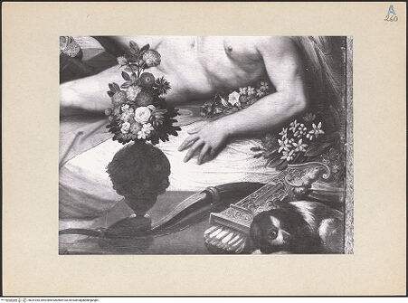 Vorderseite von bh241055_recto