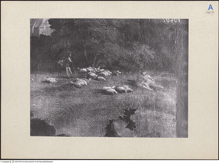 Vorderseite von bh241059_recto