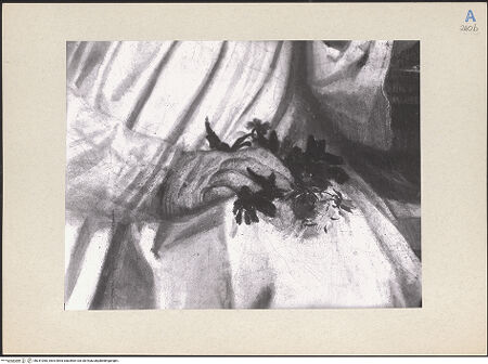 Vorderseite von bh241060_recto