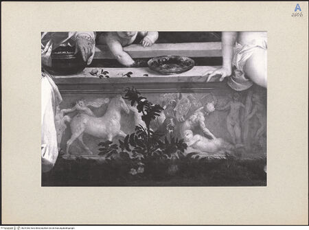 Vorderseite von bh241063_recto