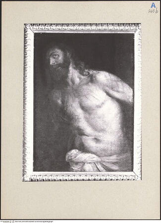 Vorderseite von bh241065_recto