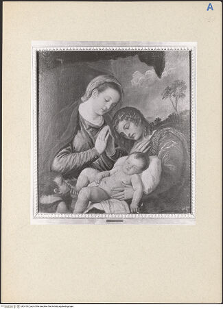 Vorderseite von bh241067_recto