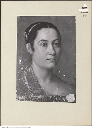 Vorderseite von bh241071_recto