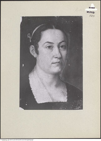 Vorderseite von bh241072_recto