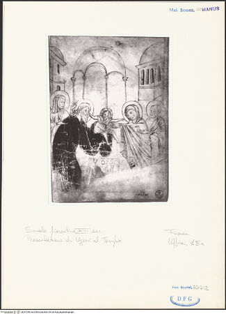 Vorderseite von bh241248_recto