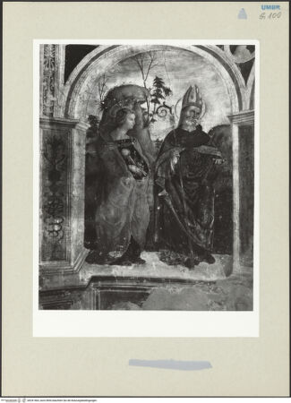 Vorderseite von bh241464_recto