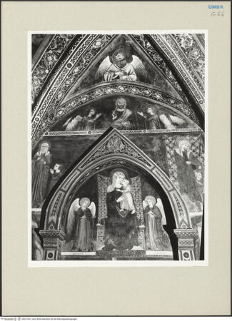 Vorderseite von bh241491_recto