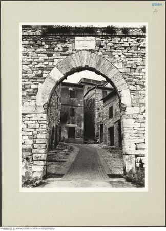 Vorderseite von bh241499_recto