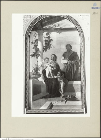 Vorderseite von bh241556_recto