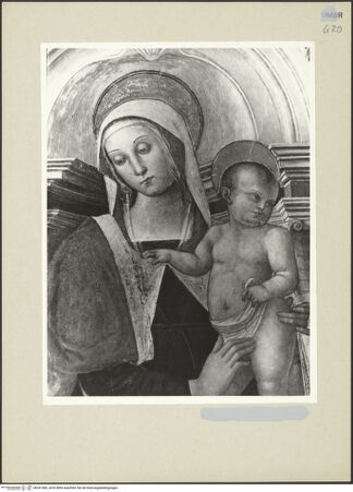 Vorderseite von bh241586_recto