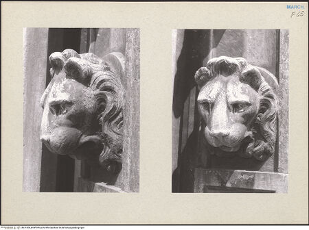 Vorderseite von bh241608_bh241609_recto