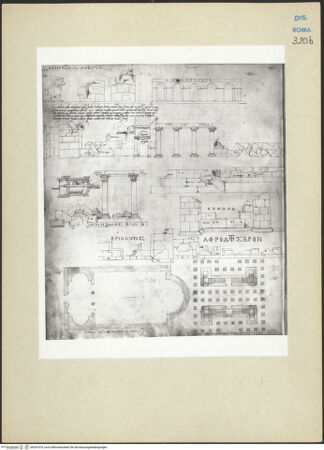 Vorderseite von bh241819_recto