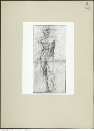 Vorderseite von bh241924_recto