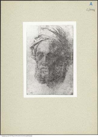 Vorderseite von bh241929_recto