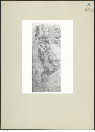 Vorderseite von bh241930_recto