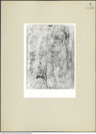 Vorderseite von bh241936_recto