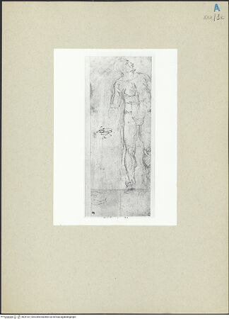 Vorderseite von bh241937_recto