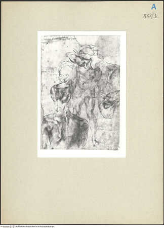 Vorderseite von bh241939_recto