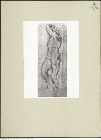 Vorderseite von bh241942_recto