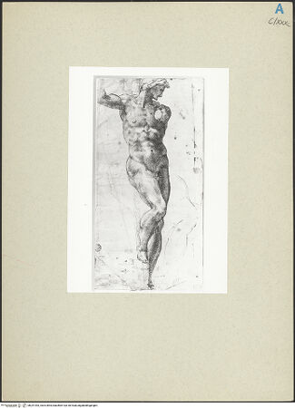 Vorderseite von bh241943_recto