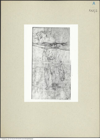 Vorderseite von bh241944_recto