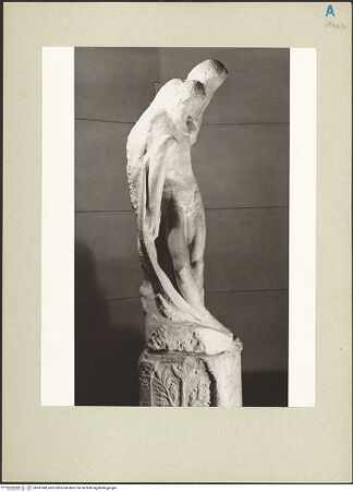 Vorderseite von bh241949_recto