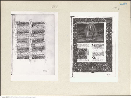 Vorderseite von bh241957_bh241958_recto