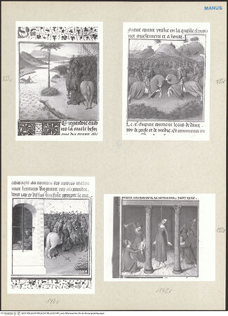 Vorderseite von bh241984_bh241985_bh241986_bh241987_recto