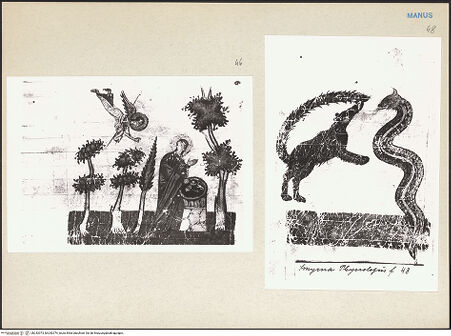 Vorderseite von bh242073_bh242074_recto