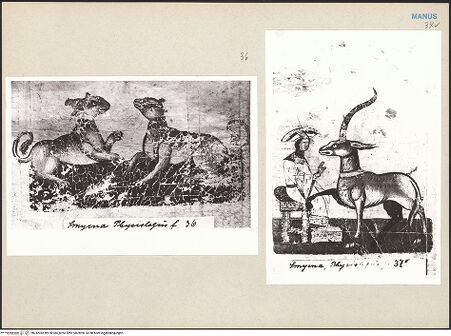 Vorderseite von bh242083_bh242084_recto