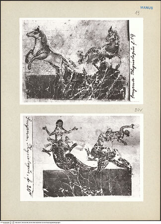 Vorderseite von bh242097_bh242098_recto