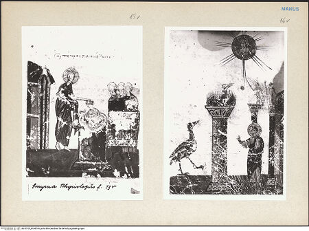 Vorderseite von bh242103_bh242104_recto