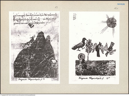 Vorderseite von bh242105_bh242106_recto