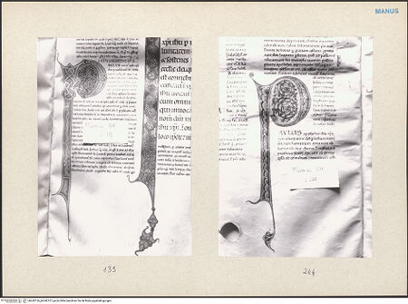 Vorderseite von bh242126_bh242127_recto