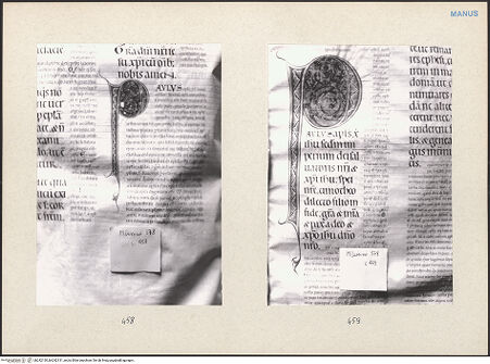 Vorderseite von bh242130_bh242131_recto