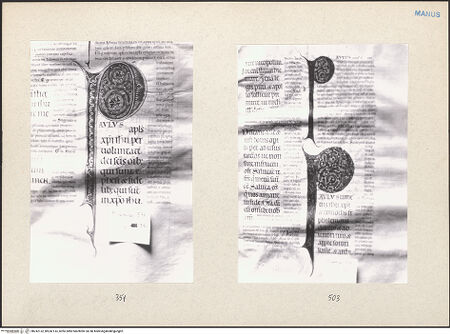 Vorderseite von bh242132_bh242133_recto