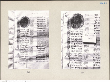 Vorderseite von bh242134_bh242135_recto