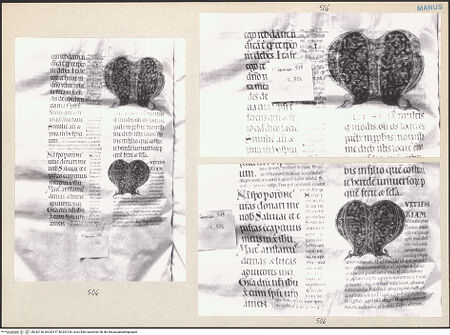 Vorderseite von bh242136_bh242137_bh242136_recto