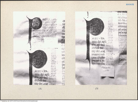 Vorderseite von bh242141_bh242142_recto