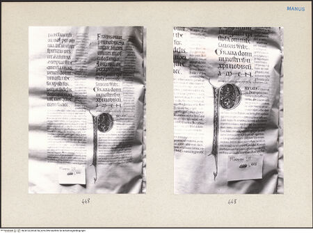 Vorderseite von bh242143_bh242144_recto