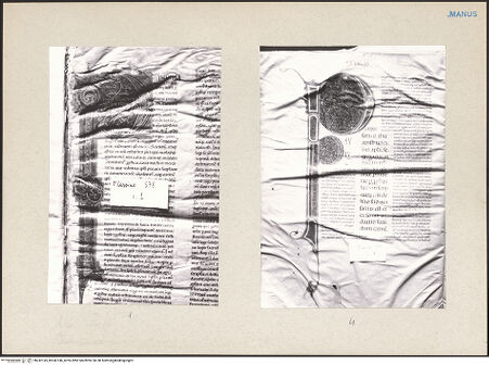 Vorderseite von bh242145_bh242146_recto