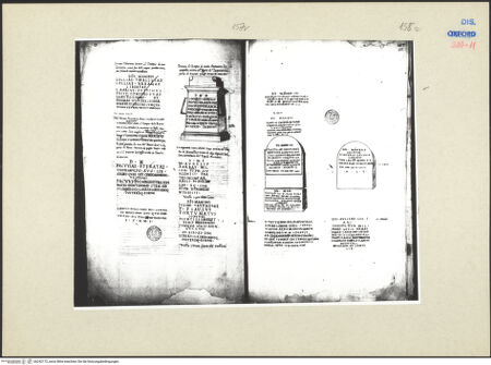 Vorderseite von bh242172_recto